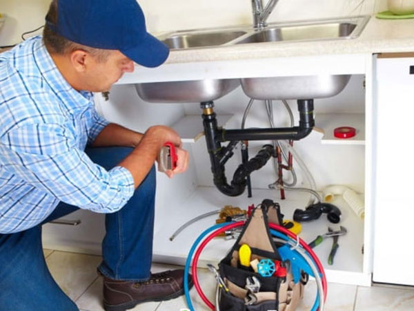 thong-tac-chau-rua-bat-tai-hoan-kiem-1